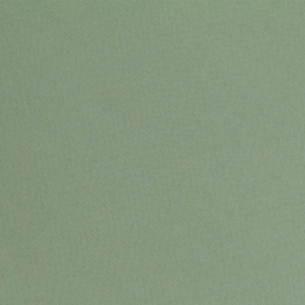 Fabriano, Green, Loose Paper, Art & School, 20"x26", Tiziano, 160gsm, Sage, 406910